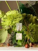 Anatomy Of Dreams Behind The Seen eau de parfum 100ml - Image 2