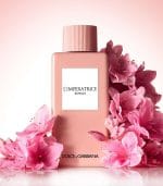 Dolce & Gabbana L'Imperatrice Royale Eau De Toilette 100ML - Image 2